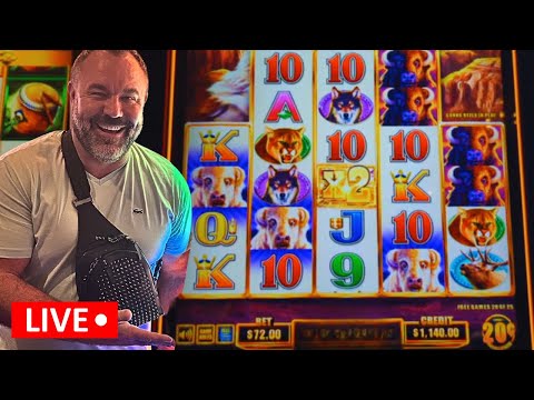 LIVE: 12 HAND PAY Jackpots & A HUGE $72 BET BUFFALO WIN #gaming