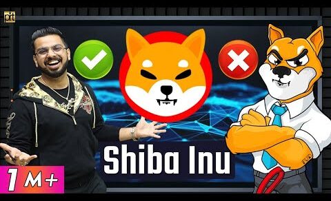 Shiba Inu Case Study | Doge Coin Killer Cryptocurrency Returns on Investment | @CoinDCX