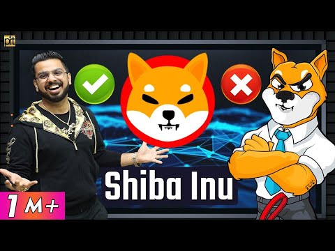 Shiba Inu Case Study | Doge Coin Killer Cryptocurrency Returns on Investment | @CoinDCX