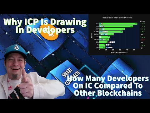 Why are Developers Flocking To The Internet Computer (ICP)