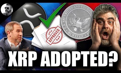 XRP WAS JUST ADOPTED BY THE UNITED STATES (Ripple CEO Brad Garlinghouse Speaks)