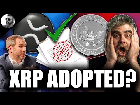 XRP WAS JUST ADOPTED BY THE UNITED STATES (Ripple CEO Brad Garlinghouse Speaks)