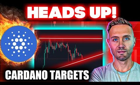 CARDANO Critic Says To Sell ADA! (Crypto Holders BEWARE!)