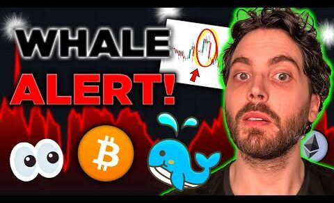 Bitcoin Whales SUPPRESSING Price! (Not The Coin You Think)