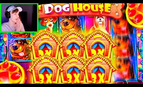 GIVE US BLUE DOG! | Biggest Slots & Live Casino Wins #18 – 500 Casino Gambling Moments