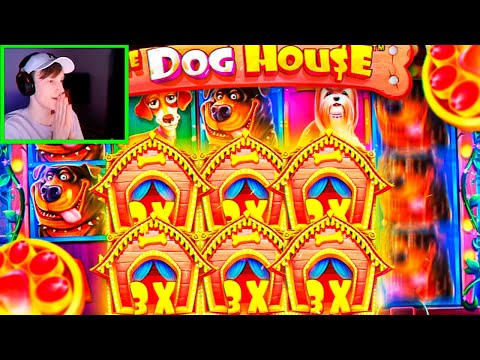 GIVE US BLUE DOG! | Biggest Slots & Live Casino Wins #18 – 500 Casino Gambling Moments