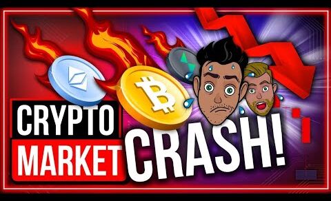 CRYPTO MARKET CRASH – Bitcoin BTC Price Prediction | Crypto News Hindi Today | FOMO update in hindi