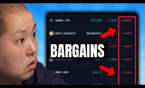 These Oversold Crypto Altcoins Will Make You Rich!