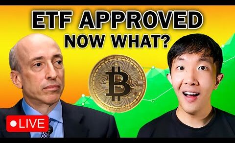 BREAKING: Bitcoin ETF APPROVED! What’s Next?