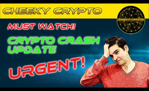 URGENT Bull Run Update (Crypto Crash Explained) | Cheeky Crypto News Today