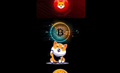 cryptocurrency | shiba inu coin | metaverse | crypto news today | bitcoin