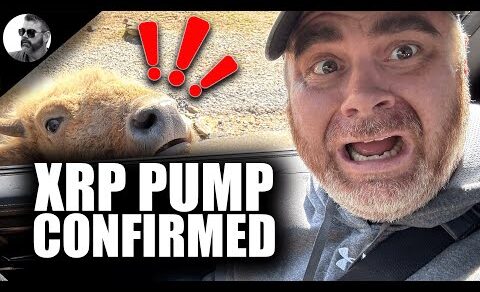 XRP PUMP CONFIRMED (Ripple Expert CALLED OUT)