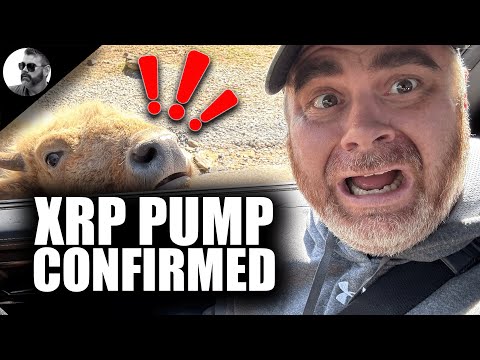 XRP PUMP CONFIRMED (Ripple Expert CALLED OUT)