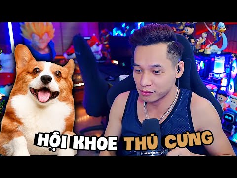 (Restream) Tổ chức Hội thi khoe Thú Cưng của xóm FA, gặp lại mãnh thú tới từ Hà Đông đầy kỷ niệm.