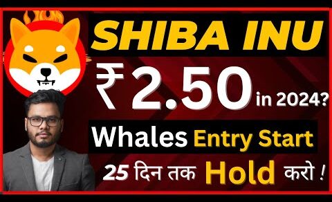 Shib: Whales Entry Start Hold for 25 Days? Shiba Inu Coin News Today