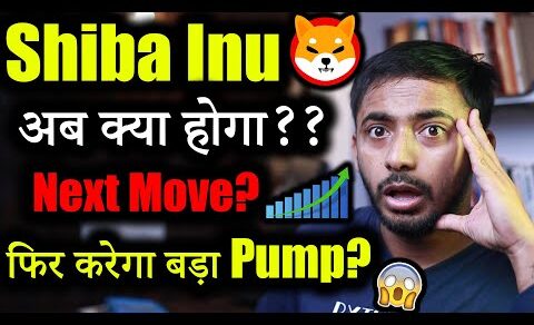 Shiba Inu का क्या होगा अब | Bull Rally?😱 | crypto news today | crypto market update | Shiba inu news