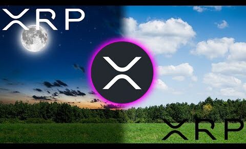 XRP RIPPLE $.80 TO $12 IN 24 HOURS !!!!