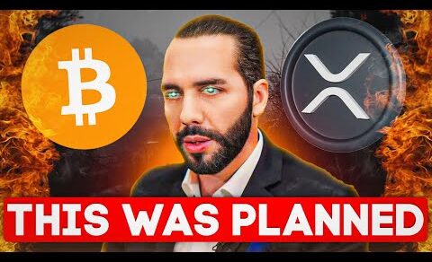 You Are NOT Prepared For What’s Coming In 24 Hours! – El Salvador President Nayib Bukele XRP