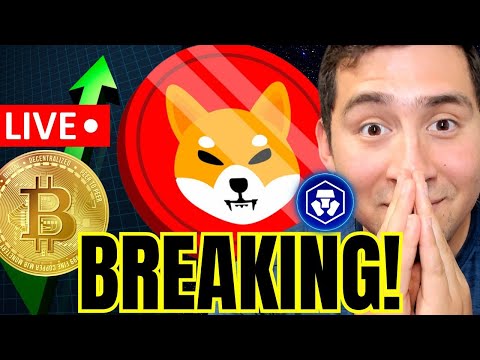 SHIBA INU COIN WHO IS BUYING SHIB!!🔴BREAKING CRYPTO NEWS