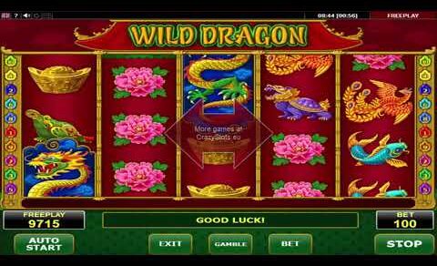 Wild Dragon video slot – Review Amatic Casino game