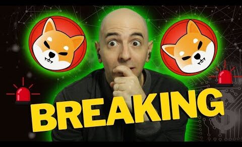 BREAKING CRYPTO NEWS! HE IS GOING TO JAIL! SHIBA INU AND DOGECOIN UPDATE!