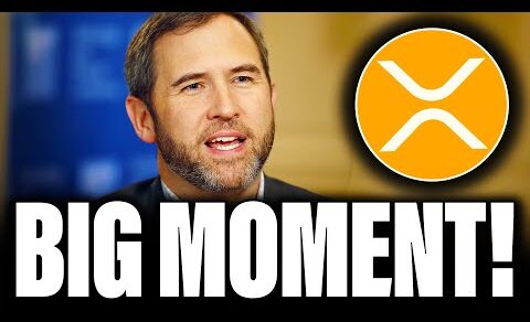 XRP NEWS | RIPPLE CEO HUGE $5T PREDICTION | THE BIG XRP MOMENT