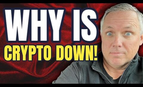 WHY IS CRYPTO DOWN TODAY! WHAT YOU NEED TO KNOW – BREAKING CRYPTO NEWS!