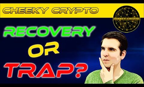 Crypto Recovery Or Trap? A New Week Starts | Cheeky Crypto News Today