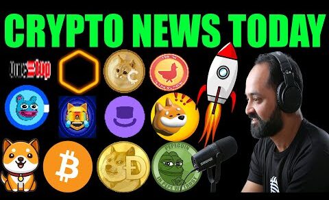 crypto news: Bitcoin, Baby Dogecoin, Dogecoin, CORE, Shiba Inu, Game stop, cat coin, Coq Coin