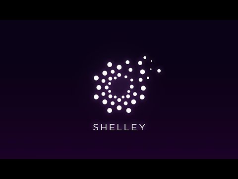 CARDANO Shelley AMA Updates; XRP Used by 27 Companies; Tron & Kiip Partnership; Debt & Market