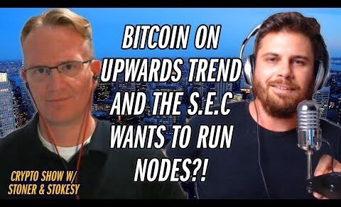 The United States SEC Wants Blockchain Ledger Data? | Stokesy & Stoner Show Ep.14