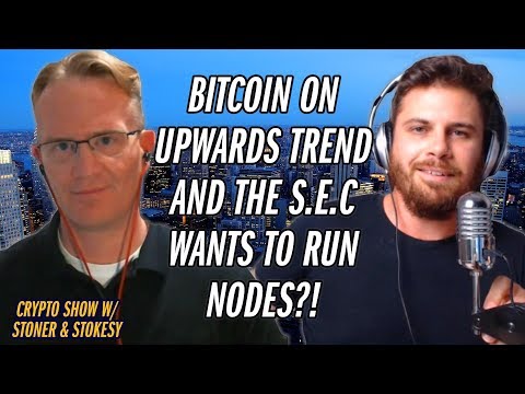 The United States SEC Wants Blockchain Ledger Data? | Stokesy & Stoner Show Ep.14