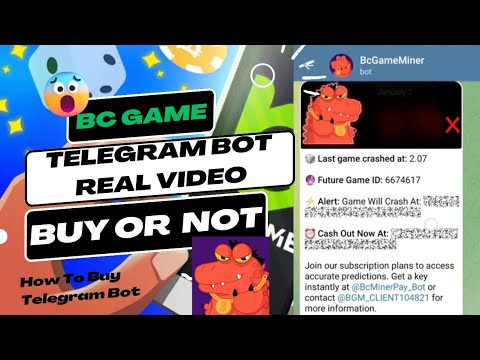 Bc Game Bot Real Or Fake bc game telegram bot prediction