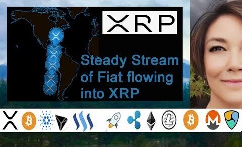 Mati Greenspan bullish on Ripple XRP, Marshall Islands & Steve Tendon, Mongolia Mining