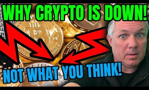 FIND OUT WHY CRYPTO IS DOWN TODAY! NOT WHAT YOU THINK! CRYPTO NEWS!