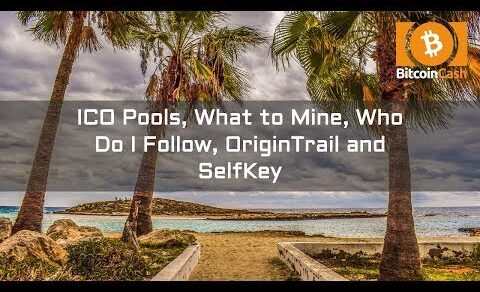 ICO Pools, What to Mine, Who Do I Follow, OriginTrail and SelfKey