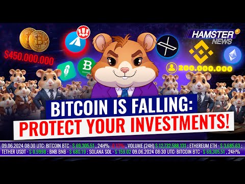 Today’s Top Crypto News: Binance, Bitcoin, Trump & More 🐹💼 Hamster News