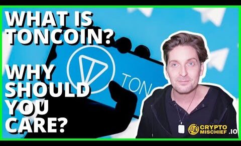 DECENTRALIZED PHONE NUMBERS with TON COIN (telegram)?