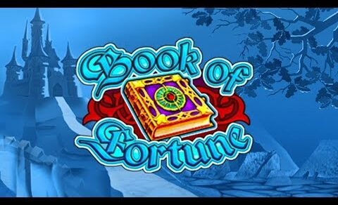 Book of Fortune by Amatic