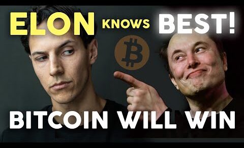 Bitcoin + Elon Musk = Mass Adoption | Crypto News (Dogecoin, r/wallstreetbets & Gamestop)