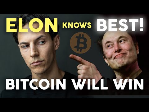 Bitcoin + Elon Musk = Mass Adoption | Crypto News (Dogecoin, r/wallstreetbets & Gamestop)