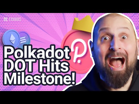 DOT coin Rallies: Polkadot Parachain Auction | Crypto News Today