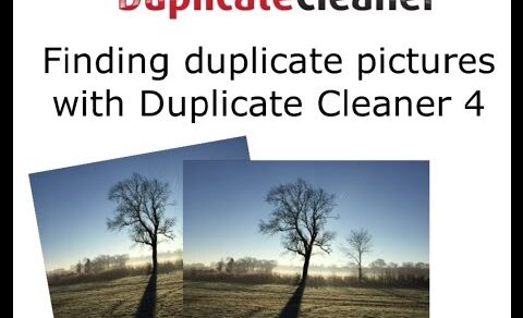 Finding duplicate pictures with Duplicate Cleaner