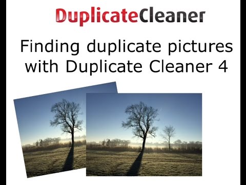 Finding duplicate pictures with Duplicate Cleaner