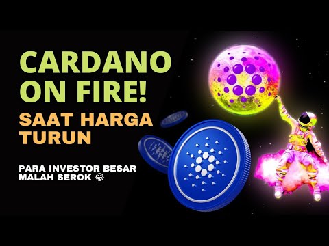 Harga Cardano (ADA) Masih Turun Tapi Para Paus Coin Cardano Malah Serok di Harga Murah🚀#cardano $ADA