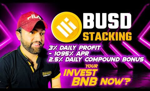 BUSD STAKING I Newly Launch Best Decentralized Project I Earn up to 3% Daily Profit I 8% Referral