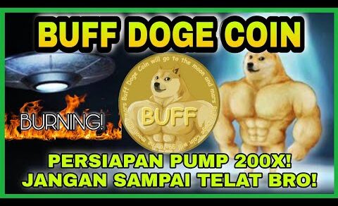 BUFF DOGE COIN RAJANYA KOIN MEME POTENSI PUMP 200X BRO! SROOKKKK!!!!