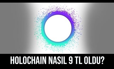 Holochain Nasıl 9 TL Oldu?