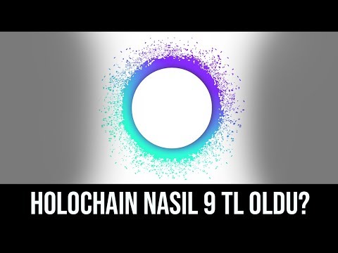 Holochain Nasıl 9 TL Oldu?