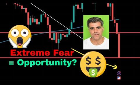 Crypto Market Latest News Updates Bitcoin BTC Crashing Extreme uncertainity or Opportunity